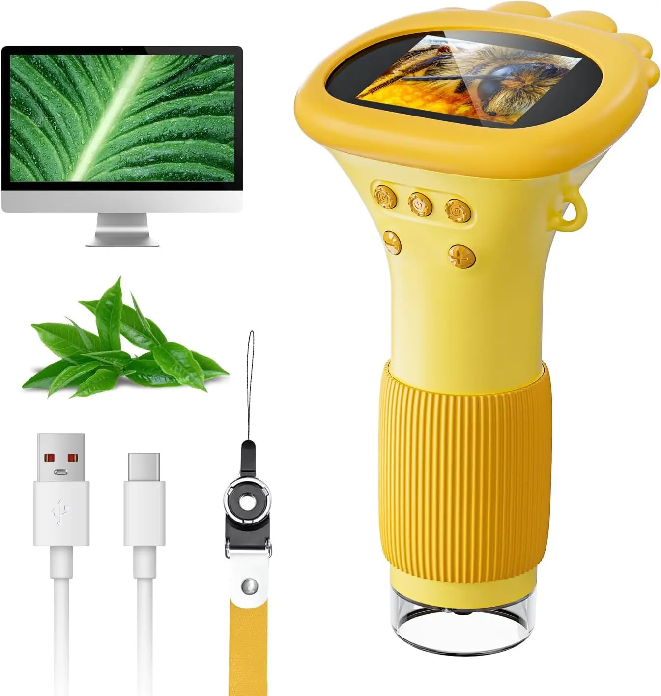 Out of This World Essentials