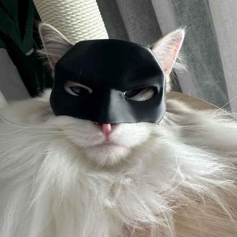 Bat Cat Mask 🐱 🦇 - Image 5