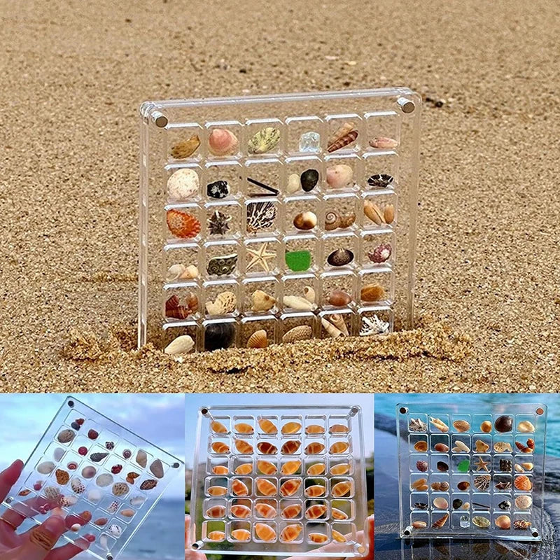 Seashell Display Box 🐚 🪸 - Image 4