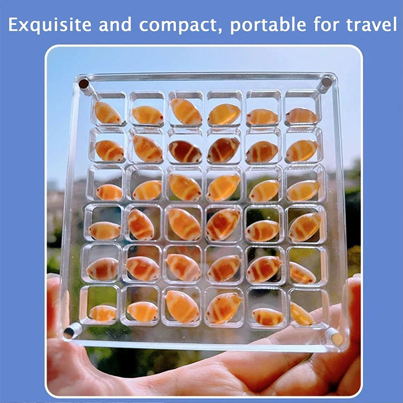Seashell Display Box 🐚 🪸 - Image 5